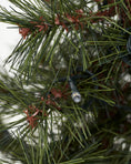 Afbeelding laden in Galerijviewer, Kerstboom met LED-lampjes, HDPinus, Natuur
