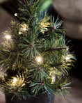 Afbeelding laden in Galerijviewer, Kerstboom met LED-lampjes, HDPinus, Natuur
