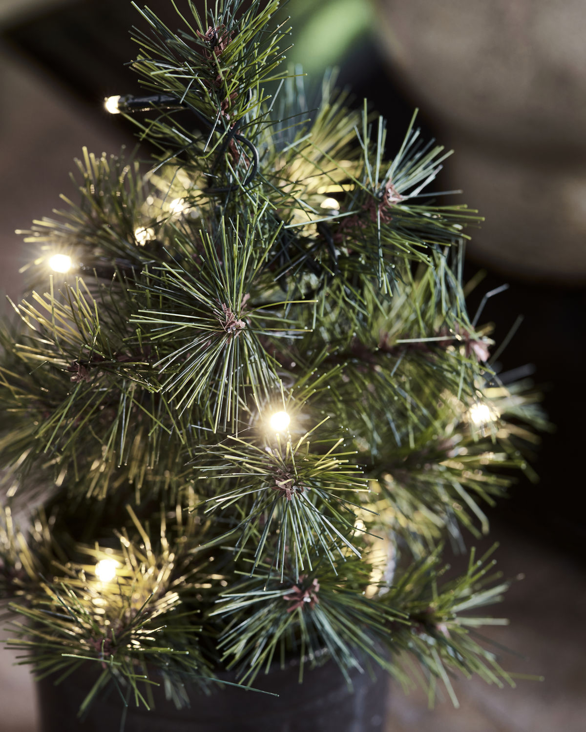 Kerstboom met LED-lampjes, HDPinus, Natuur