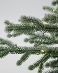 Afbeelding laden in Galerijviewer, Kerstboom met LED-lampjes, HDNat, Natuur
