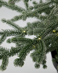 Afbeelding laden in Galerijviewer, Kerstboom met LED-lampjes, HDNat, Natuur
