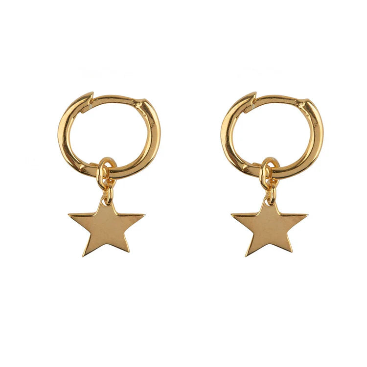 Small Hoop Star Earring