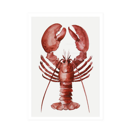 Postcard - Lobster