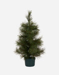 Afbeelding laden in Galerijviewer, Kerstboom met LED-lampjes, HDPinus, Natuur
