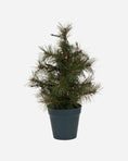 Afbeelding laden in Galerijviewer, Kerstboom met LED-lampjes, HDPinus, Natuur
