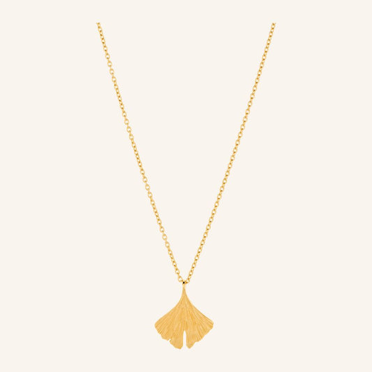 Biloba ketting